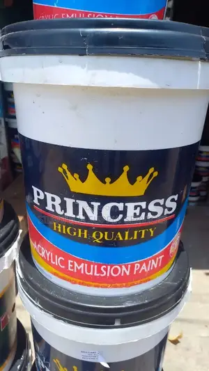 High Quality Princess Paint