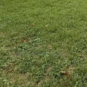 Massive Vast Land for Sale