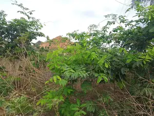 This Is a Plot of Land at Premier Layout Enugu for 30m