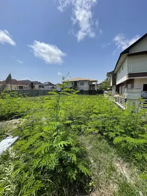 1000 Square Meters Land for Sale