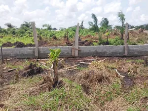 Full Plot by Governor's Rd Inside a Built Up Street