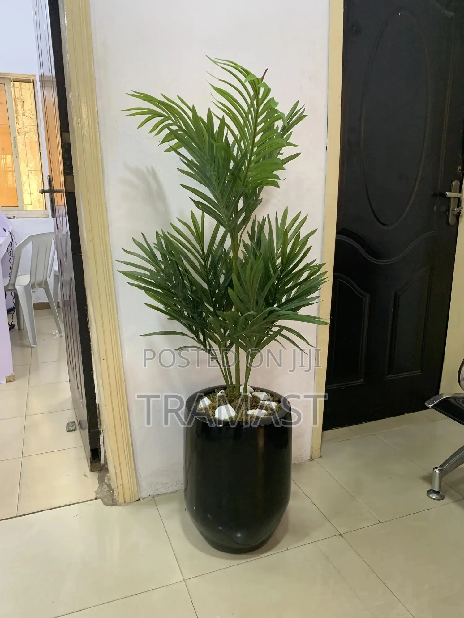 Single Stem Palm Half Slim Cylinder Vase With Combo