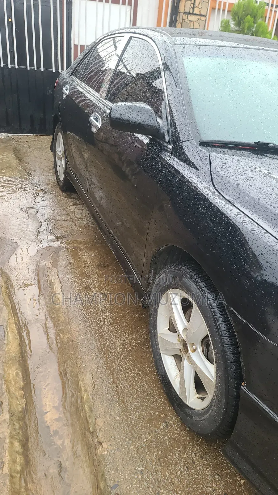 Car for Hire