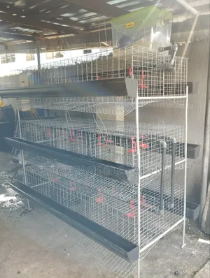 Poultry Battery Cage