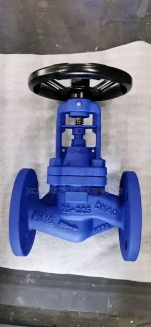 Dn 40 Cast Iron Valve