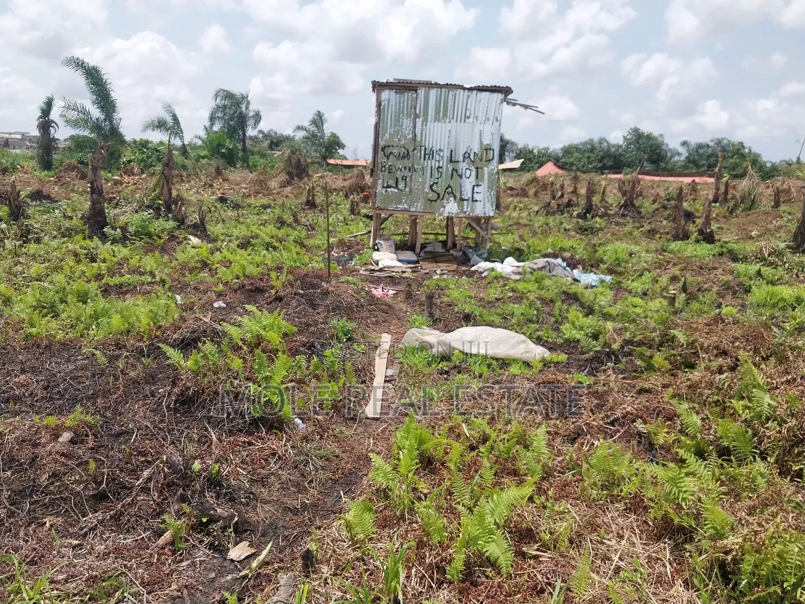 Masive Hecters Farmland Obafemi Owode Ogun State