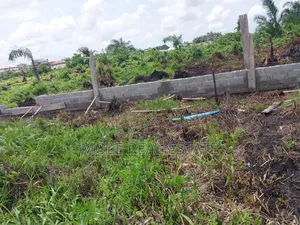 100 Acres of Farmland Someke Mowe Ofada Owode Ogun State