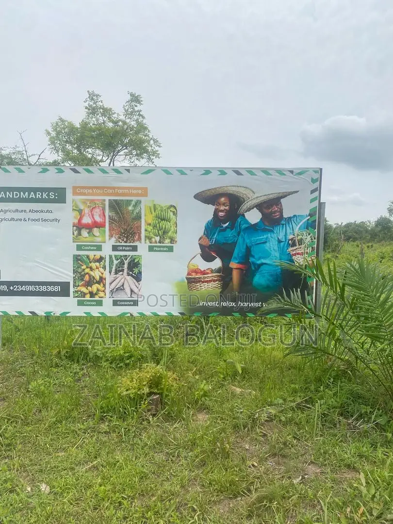 Buy Farm Land in Ogun State
