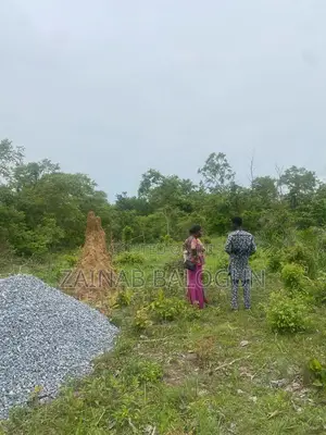 Buy Farm Land in Ogun State