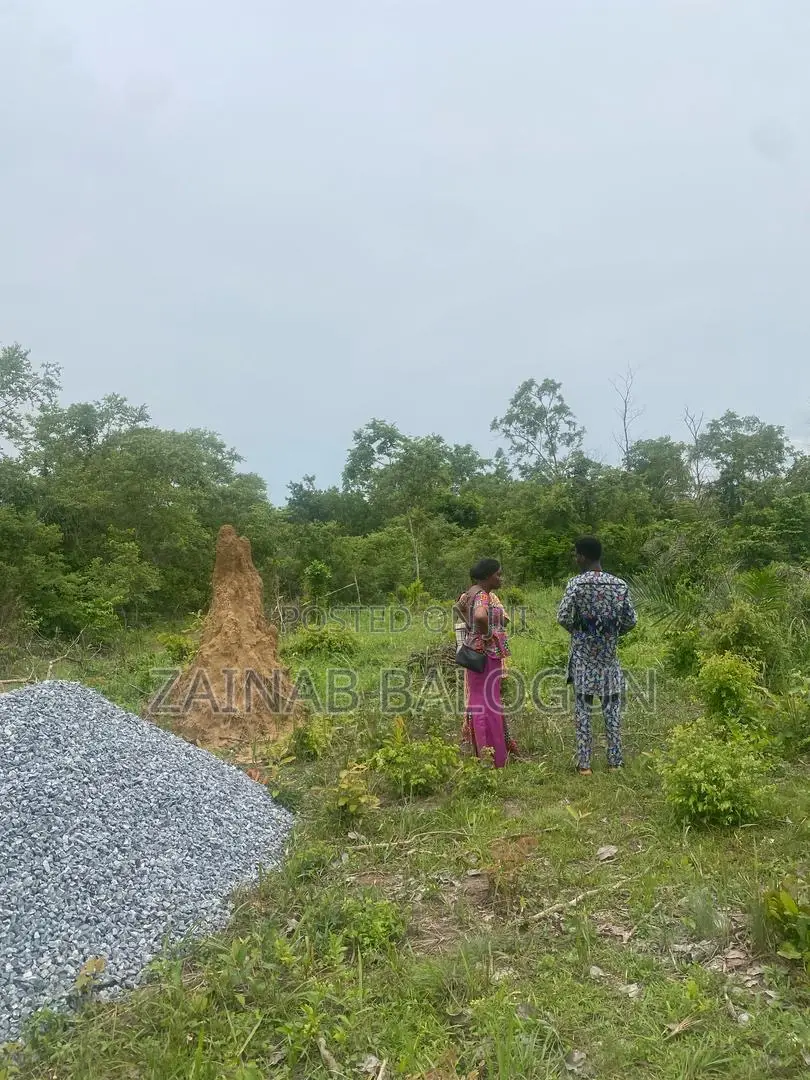 Buy Farm Land in Ogun State
