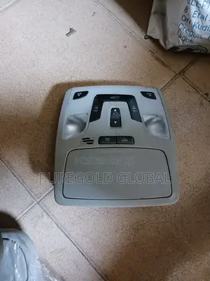 Sienna 2016 Model Roof Light
