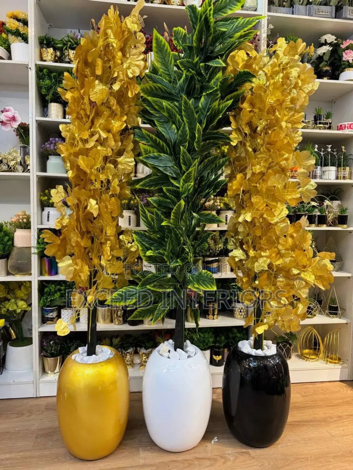 Beautiful Imported Flowers