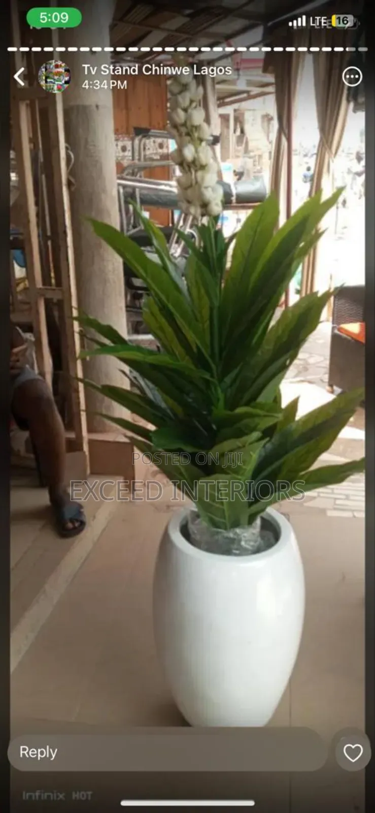 Quality Imported Beautiful Flowers
