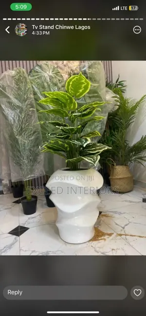 Quality Imported Beautiful Flowers