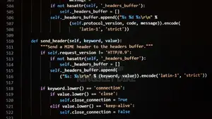 Web Designer and Developer
