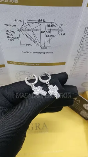 Photo - Ices Earings