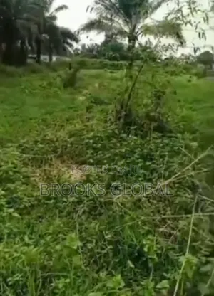 A Flat Land of 100/200 at Ovbiogie Benin for Sale