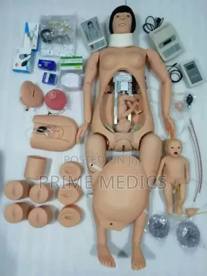Electric Delivery Manikin / Model