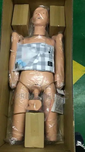 Dual Sex Manikin