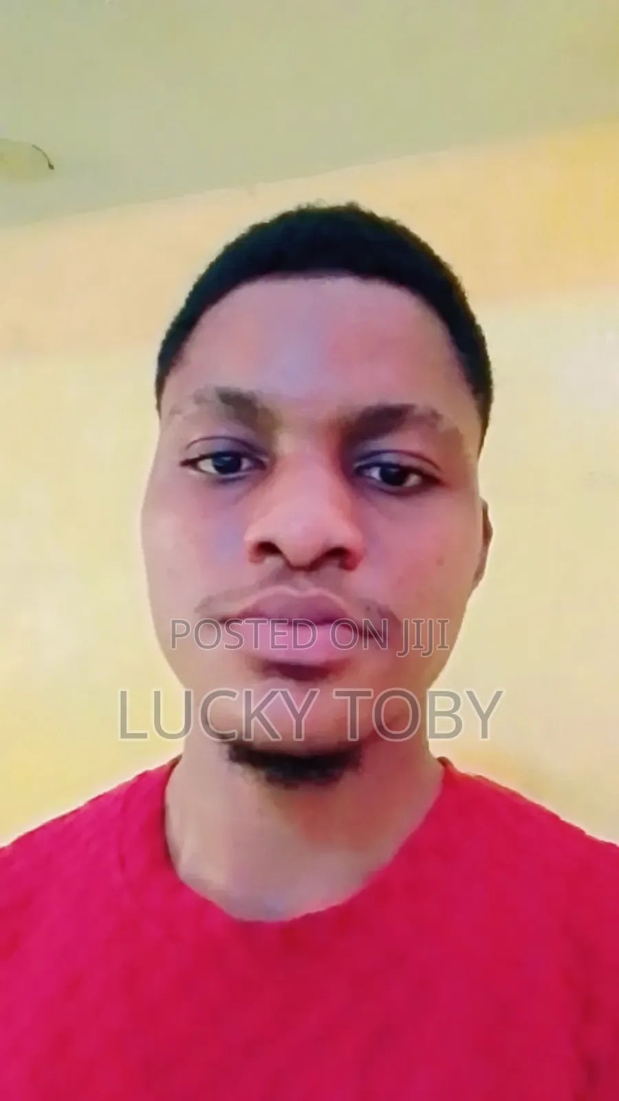 Toby Lucky Junior
