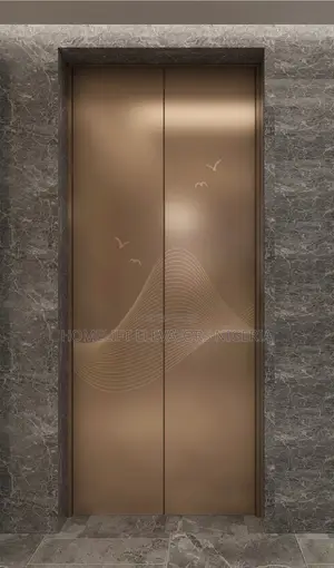 Residential Elevator