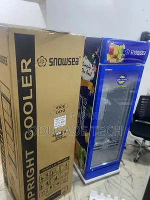 Cool Freezing Snowsea Showcase Chiller Lc-300w