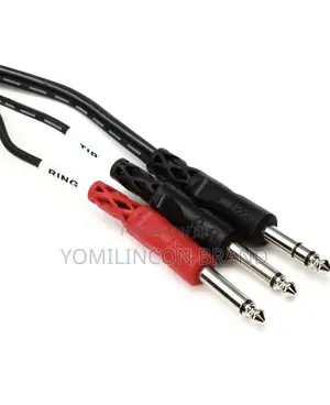 Hosatech STP-203 Insert Cable 3m 1/4 in TRS to Dual 1/4