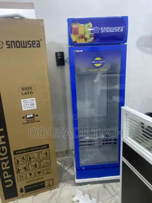 Super Frosty Snowsea Showcase Chiller Lc-300w