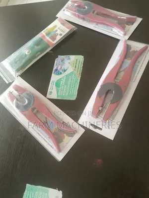 Applicator
