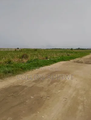 8 Acres of Land Sangotedo