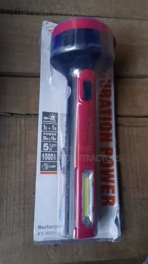 Security Torch Light