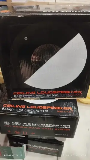 Ceiling Loudspeaker