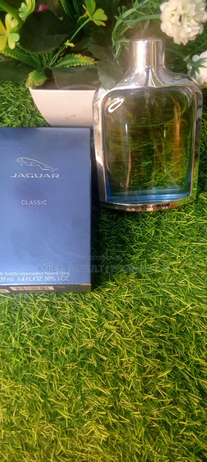 Original Eternity Jaguar