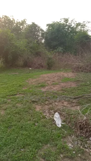 Photo - A Plot of Land