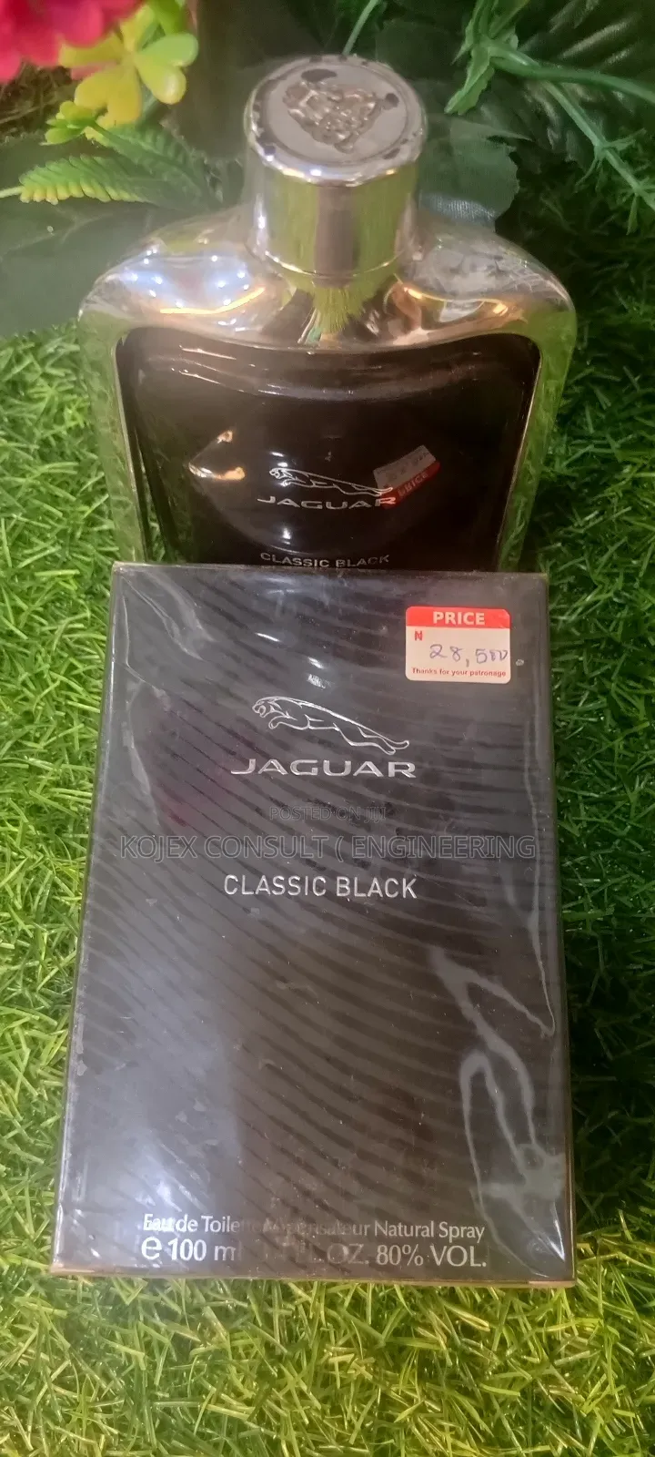 Original Eternity Jaguar Black