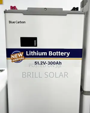 15kwh-48v Blue Carbon Tall Smart Lithium Battery (Bct-Vi-P)