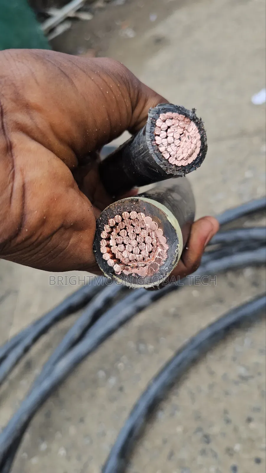 500mm Single Bicc Electric Cable