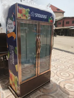 2door Chiller Snowsea
