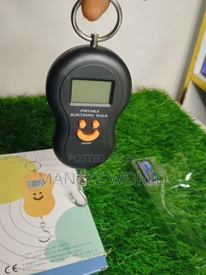 Electronic Luggage/Hanging Scale 0-50kg