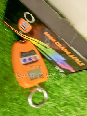 Hanging Scale/Luggage Scale Weigh 200kg
