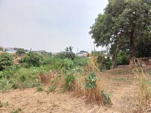4.5ha Mixed Development Land.