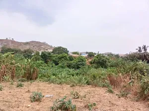 4.5ha Mixed Development Land.
