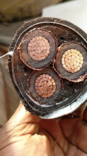 3corex240m2 11kva Xlpe Cable