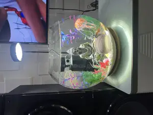 Aquarium Bowl