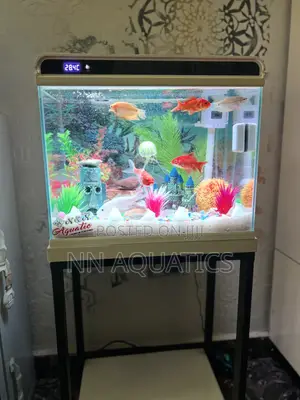 42 Litters Imported Tank