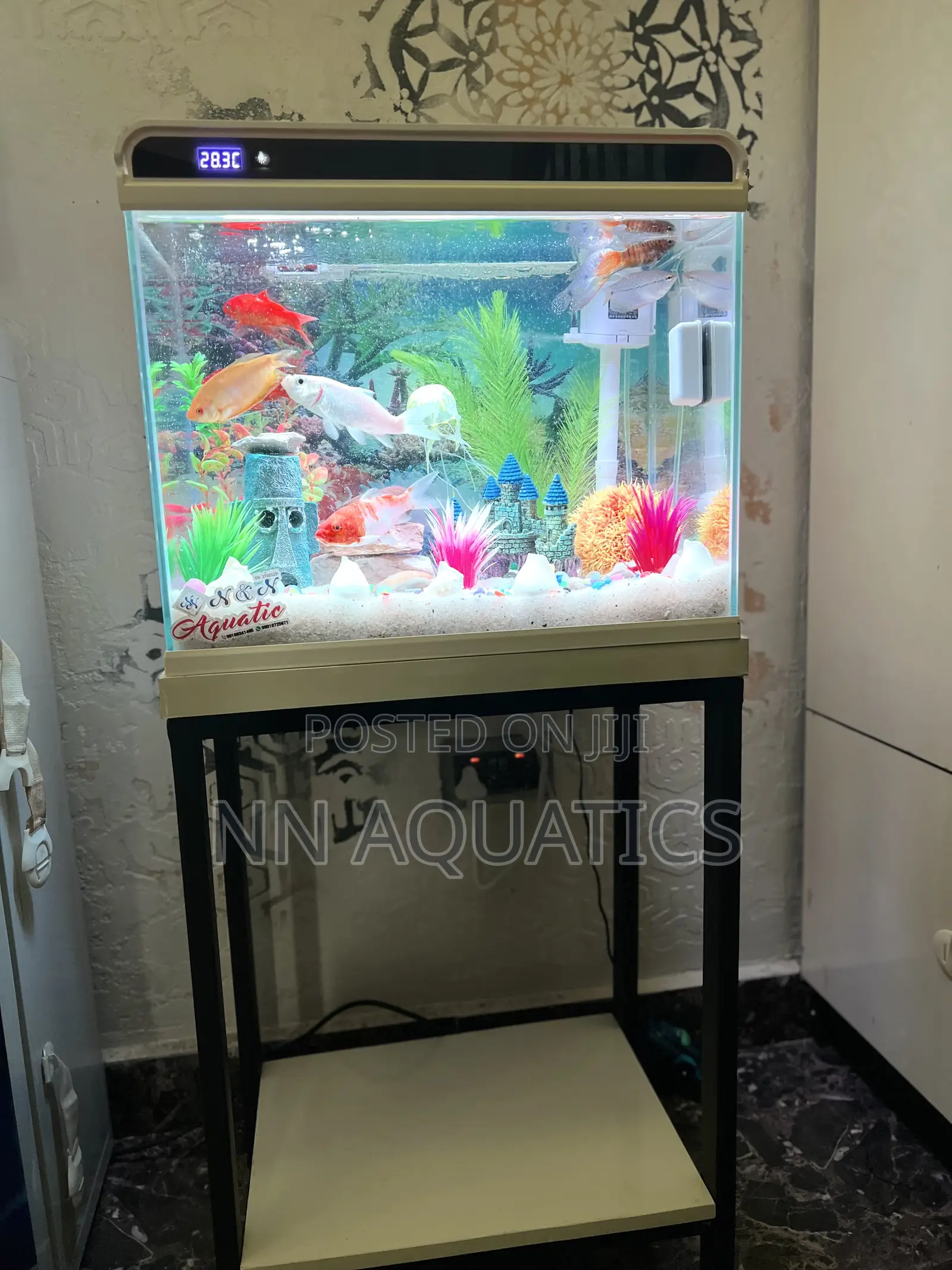 42 Litters Imported Tank