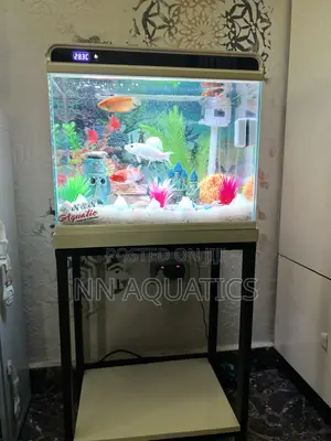 42 Litters Imported Tank