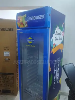 Best Snowsea 300litres Chiller Blue Colour