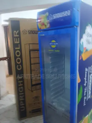 Super 300litres Snowsea Chiller Blue Colour