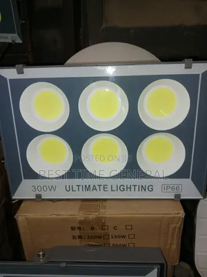 Flood Light Warm White 300w/200w Electric